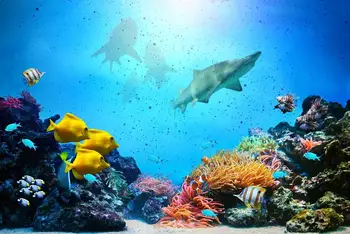 Подводна стикер на стената с акули, Коралов риф, морска стикер на стената за домашен интериор, снимка на океана, цветни акули, монтиран на стената арт принт, детски